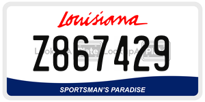 Z867429  license plate in LA