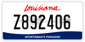 Z892406  license plate in LA