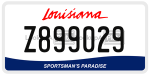 Z899029  license plate in LA