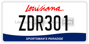 ZDR301  license plate in LA