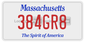 384GR8  license plate in MA