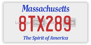 8TX289  license plate in MA