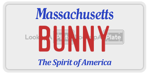 BUNNY license plate in Massachusetts
