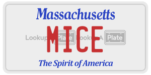MICE  license plate in MA