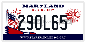 290L65 license plate in Maryland