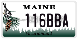116BBA license plate in Maine