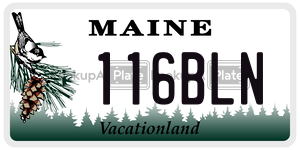 116BLN license plate in Maine