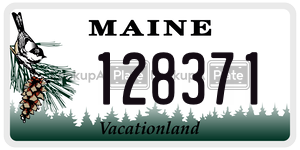 128371  license plate in ME