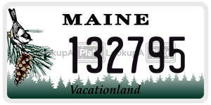 132795 license plate in Maine
