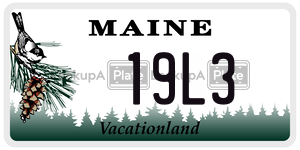 19L3  license plate in ME