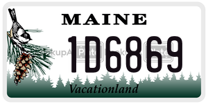 1D6869 license plate in Maine