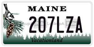 207LZA  license plate in ME