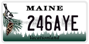 246AYE  license plate in ME