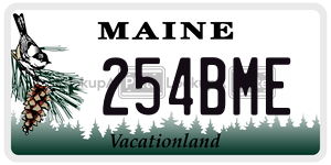 254BME  license plate in ME