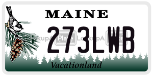 273LWB  license plate in ME