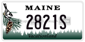 2821S  license plate in ME