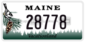 28778  license plate in ME