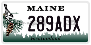 289ADX  license plate in ME