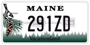 291ZD license plate in Maine