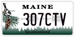 307CTV  license plate in ME