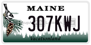 307KWJ license plate in Maine