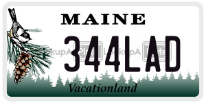 344LAD  license plate in ME