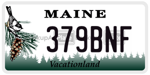 379BNF  license plate in ME