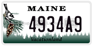 4934A9  license plate in ME