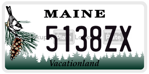 5138ZX  license plate in ME