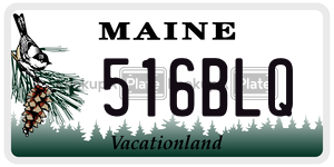 516BLQ  license plate in ME