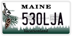 530LJA  license plate in ME