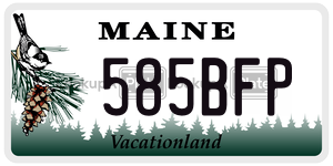 585BFP  license plate in ME