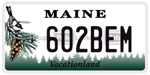 602BEM license plate in Maine