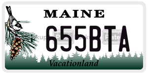 655BTA  license plate in ME