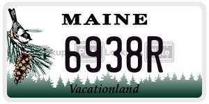 6938R  license plate in ME