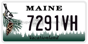 7291VH license plate in Maine