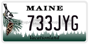 733JYG  license plate in ME