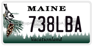738LBA  license plate in ME