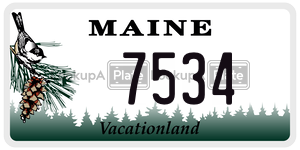 7534  license plate in ME