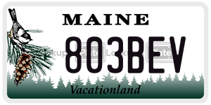 803BEV  license plate in ME