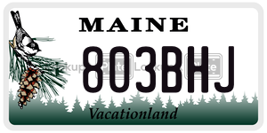 803BHJ  license plate in ME