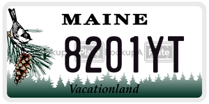 8201YT license plate in Maine