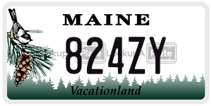 824ZY license plate in Maine