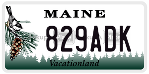 829ADK license plate in Maine