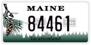 84461 license plate in Maine