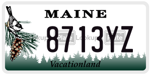 8713YZ license plate in Maine