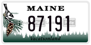 87191  license plate in ME