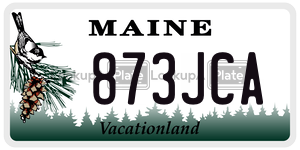 873JCA license plate in Maine