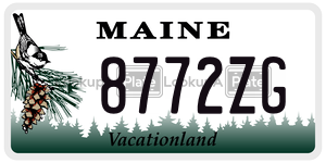 8772ZG license plate in Maine