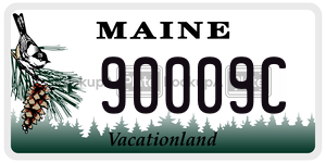 90009C license plate in Maine